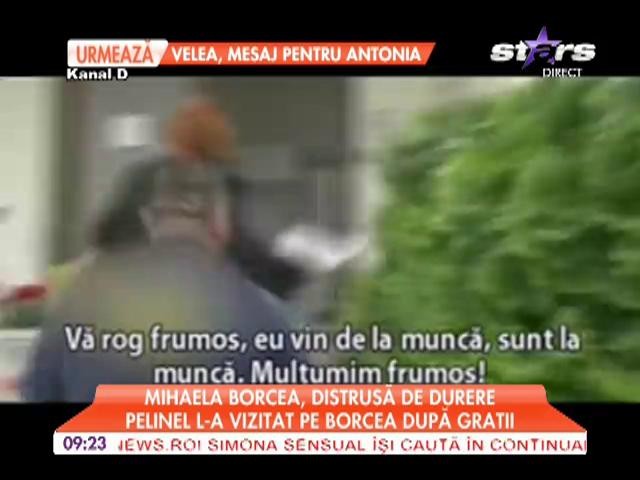 Mihaela Borcea, distrusă de durere