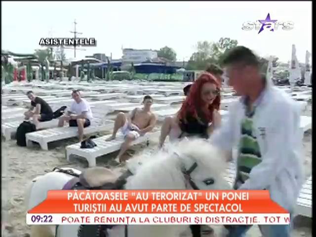 Păcătoasele au "terorizat un ponei". Turiştii au avut parte de spectacol