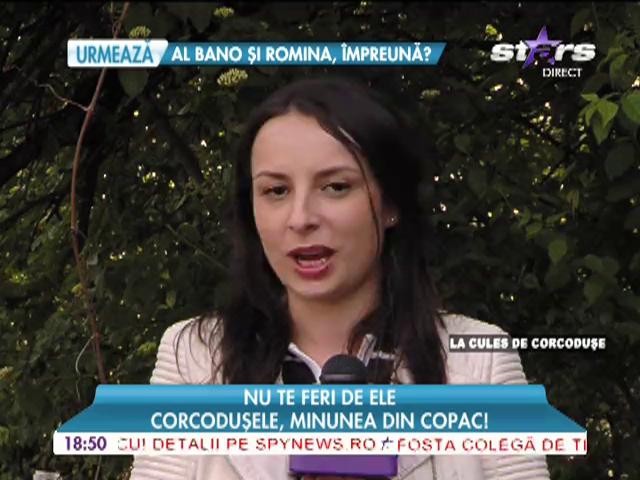Corcodusele, minunea din copac