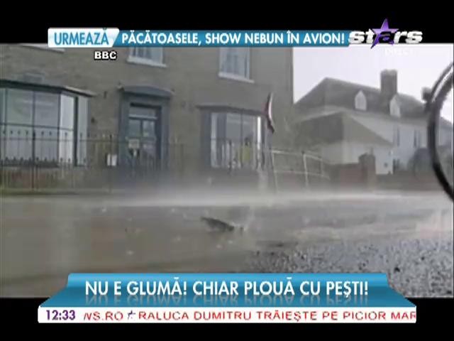 Plouă cu peşti &icirc;ntr-un orăşel din China