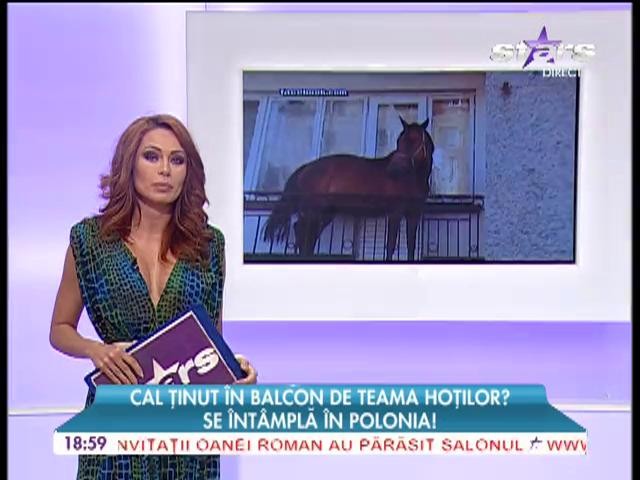 Un bărbat &icirc;şi ţine calul &icirc;n balconul apartamentului