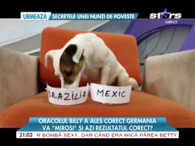 Billy a prezis cine va c&acirc;ştiga partida de fotbal din Cupa Mondială din această seară!