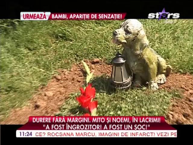 Durere fără margini! Mihai Mitoşeru şi Noemi, &icirc;n lacrimi!