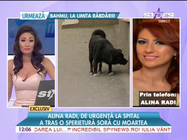 Alina Radi, atacată de o haită de c&acirc;ini! A ajuns de urgenţă la spital
