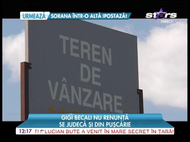 Gigi Becali se judecă din puşcărie