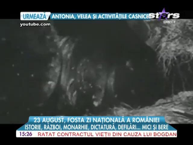 23 august, fosta zi națională a Rom&acirc;niei