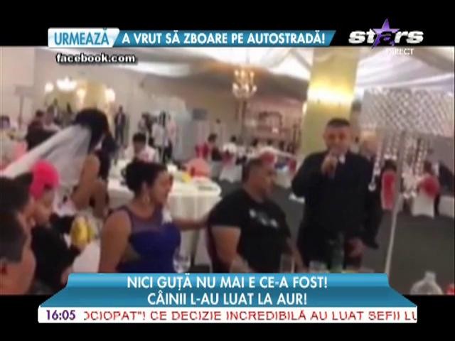 Nicolae Guţă a c&acirc;ntat la o nuntă unde și c&acirc;inii erau &icirc;mbrăcați &icirc;n aur!