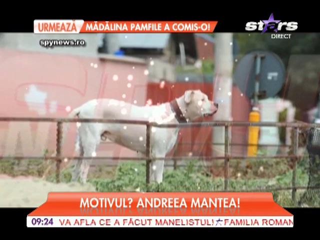 Cristi Mitrea, iubitul Andreei Mantea, &icirc;și neglijează cel mai bun prieten