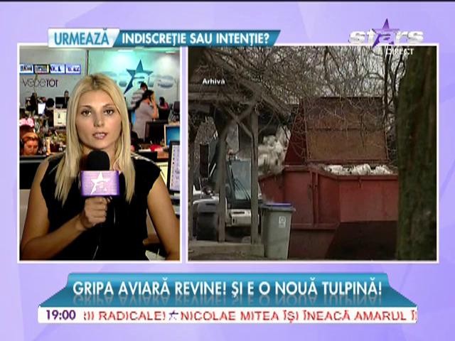 Gripa aviară revine!