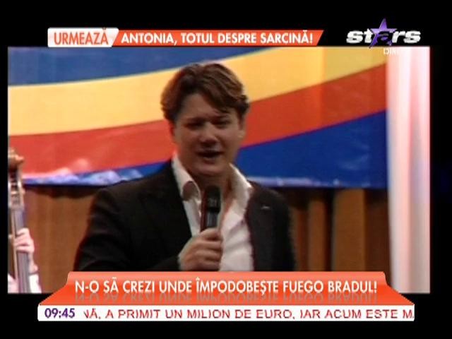 N-o să crezi unde &icirc;mpodobeşte Fuego bradul!