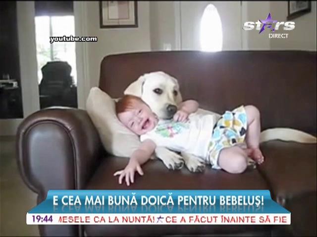 E cea mai bună doică pentru un bebeluş!