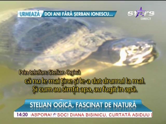 Spaima loteriei fuge de aglomerație