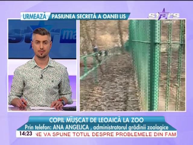 Cum se simte copilul atacat de leoaică la grădina zoologică din Rădăuţi