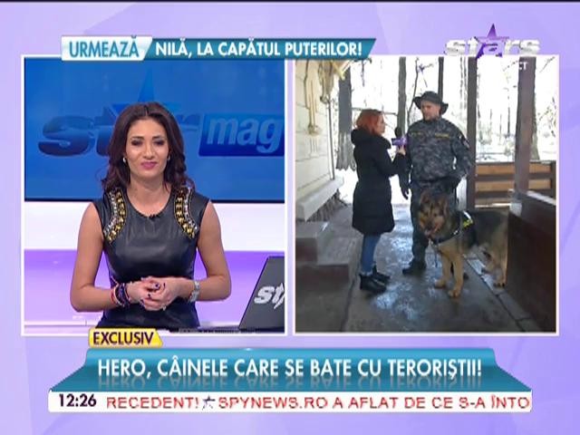 Hero, cel mai deştept c&acirc;ine din Rom&acirc;nia!