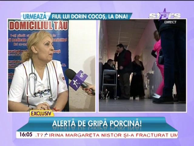 Alertă de gripă porcină! Ce trebuie să ştim de această boală