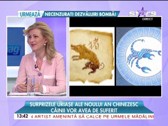 Surprizele uriaşe ale noului an chinezesc! Ce zodii au noroc, bani şi dragoste &icirc;n 2015