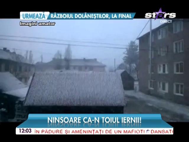 Ninsoare &icirc;n aprilie ca &icirc;n mijlocul unei ierni autentice! Imagini incredibile surprinse &icirc;n Harghita