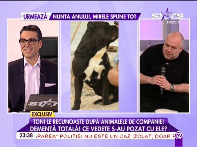 Demență totală! Toni Ionescu recunoaște vedetele după animalele lor de companie!