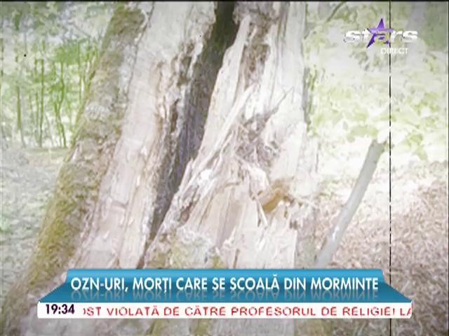 Pădurea care i-a &icirc;ngrozit pe toţi localnicii! OZN-uri şi morţi care se scoală din morminte