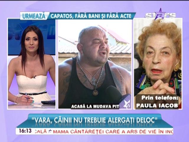 Ce spune Mudava Pit despre antrenarea c&acirc;inilor cu maşina, &icirc;n trafic? Explicaţia lui este halucinantă