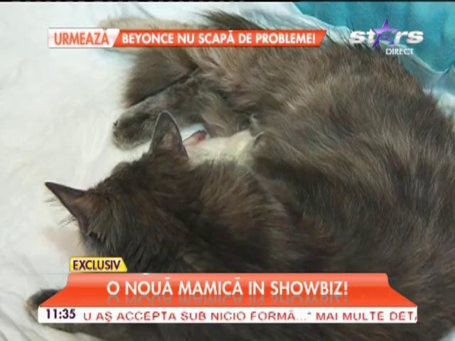 Mariana Roşca este &icirc;n culmea fericirii! Un membru din familia ei i-a făcut o surpriză