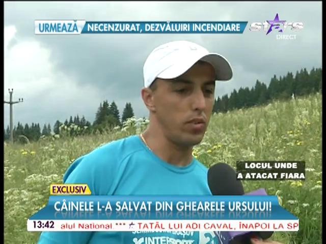 Povestea omului care s-a născut a doua oară! C&acirc;inele l-a salvat din ghearele ursului!