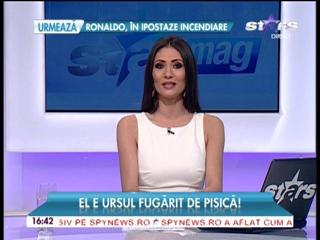 El e ursul fugărit de pisică!