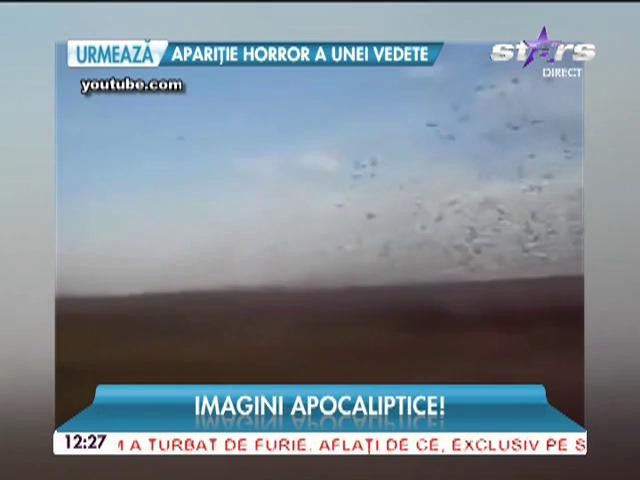 Imagini apocaliptice! Rusia este atacată de lăcute