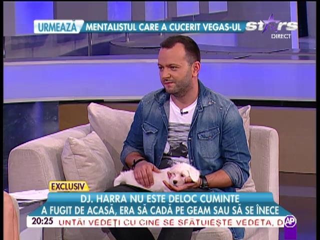 Dj Harra, moment penibil la televizor! Ce a făcut c&acirc;inele ei &icirc;n emisiunea lui Mihai Morar