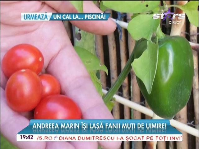 Andreea Marin &icirc;şi lasă fanii muţi de uimire! Imagini superbe din "colţul de rai" al Z&acirc;nei!