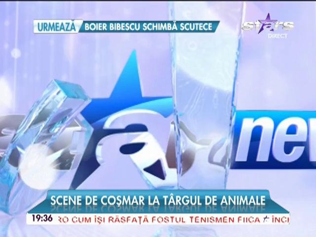 Scene de coşmar la t&acirc;rgul de animale! Şi-au bătut caii, să-i v&acirc;ndă mai bine!