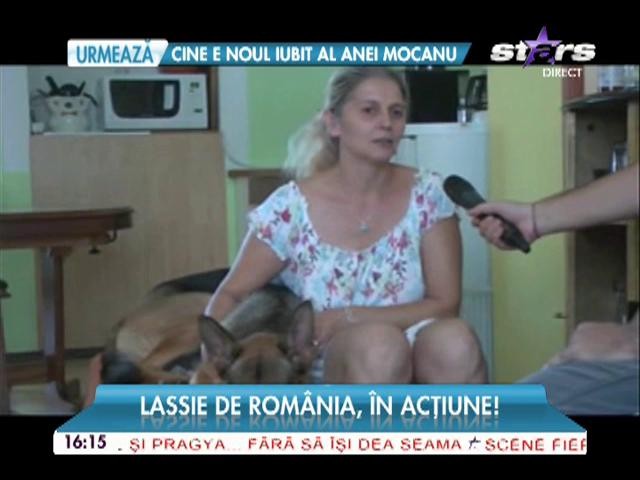 Ea este Lassie de Rom&acirc;nia! C&acirc;inele-fenomen le-a schimbat viaţa stăp&acirc;nilor