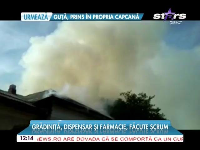 Au distrus satul pentru c&acirc;teva cuiburi de viespi? Grădiniţă, dispensar şi farmacie, făcute scrum