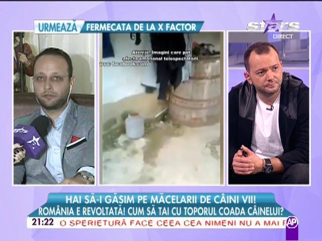 Hai să-i găsim pe măcelarii de c&acirc;ini vii! Rom&acirc;nia e revoltată! Cum să tai cu toporul coada unui căţel?
