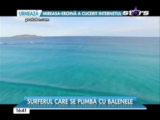 Imaginile pe care trebuie neapărat să le vezi! Iată surferul care se plimbă cu balenele!