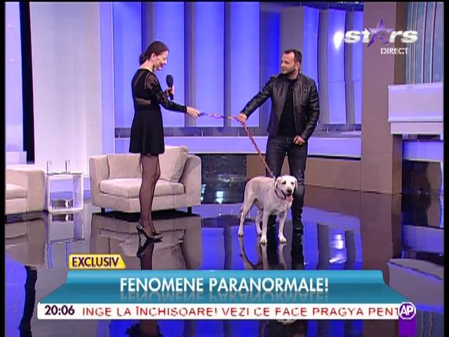 Rita Mureşan, urmărită de &icirc;ngeri! Paranormal: "Au apărut aripi pe spatele căţelul meu!"