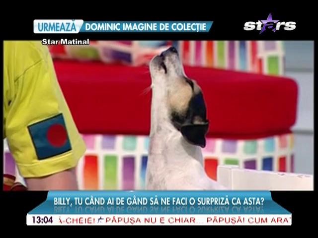 Surorile lui Billy Trandaş s-au dat &icirc;n spectacol la Star Matinal