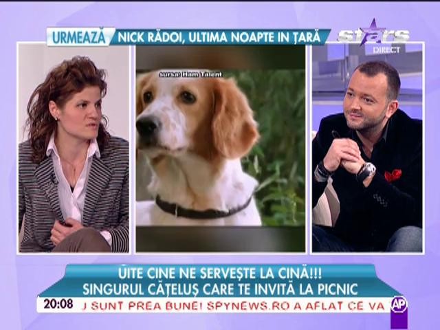 Singurul căţeluş care te invită la picnic! "Tatăl meu este bine datorită căţeluşului meu"