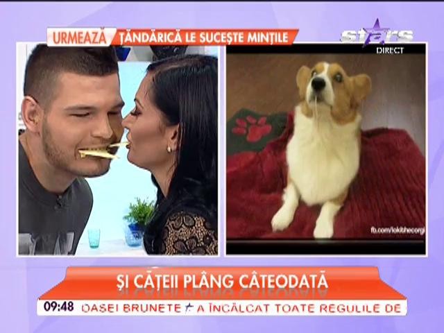 Răzvan Botezatu a sărutat-o pe Raluca Dumitru şi apoi i s-a făcut rău!