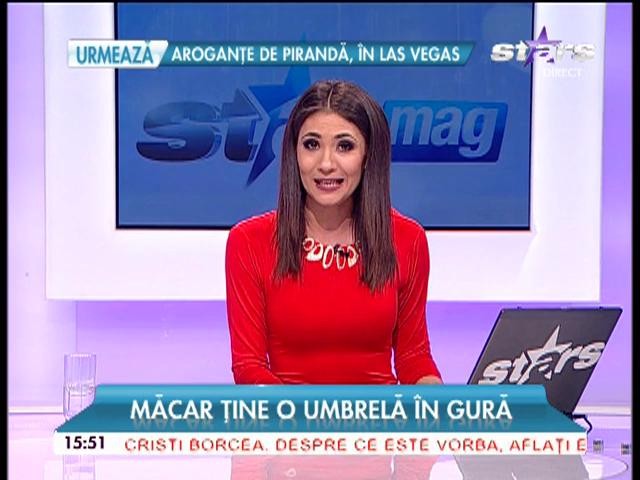 VIDEO VIRAL. Un căţeluş a ajuns vedetă pe internet, după ce s-a plimbat pe scuter cu umbrela &icirc;n gură