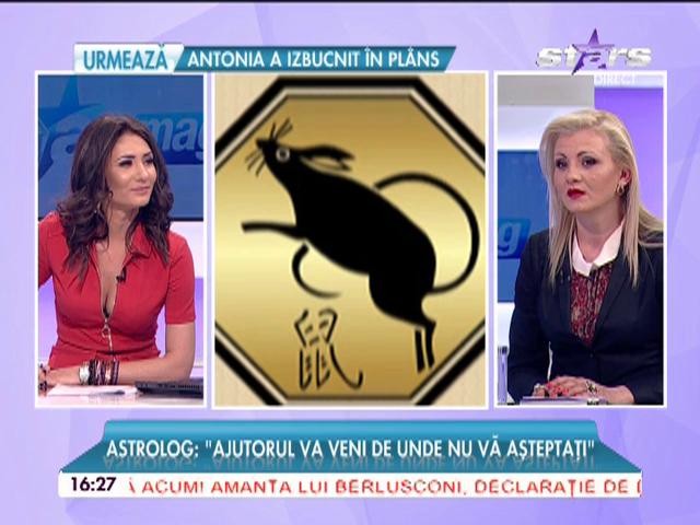 Anul Maimuţei de foc vine cu multe schimbări: "Vor fi mai multe incendii şi explozii!"