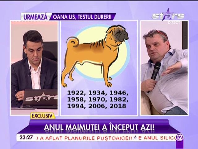 Ce schimbări aduce Anul Maimuţei de Foc! La ce trebuie să fiţi atenţi, &icirc;n funcţie de zodie 2