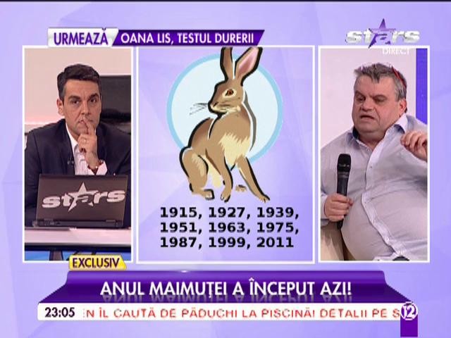 Ce schimbări aduce Anul Maimuţei de Foc! La ce trebuie să fiţi atenţi, &icirc;n funcţie de zodie