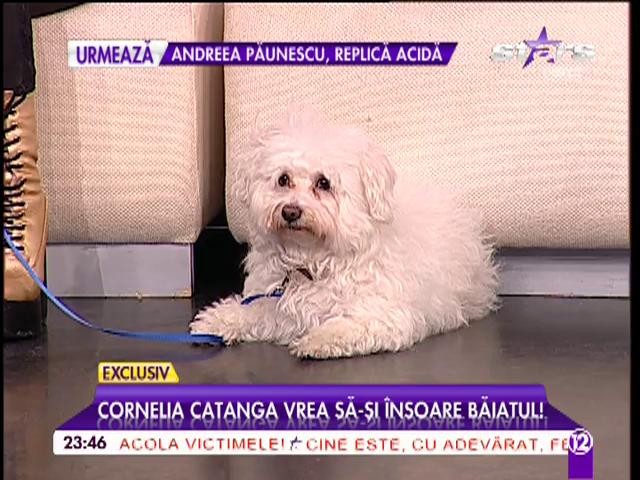 Cornelia Catanga vrea să-şi &icirc;nsoare băiatul! Şi nu este vorba despre Alexandru