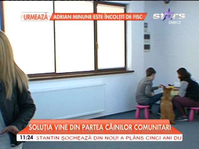 Soluţia vine din partea c&acirc;inilor comunitari. &Icirc;n Capitală s-a deschis primul centru de tarapie asistată de animale din Europa