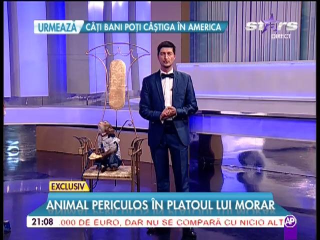 A avut palpitaţii. Mihai Morar s-a urcat pe scară de frică atunci c&acirc;nd a văzut cine intră &icirc;n platou