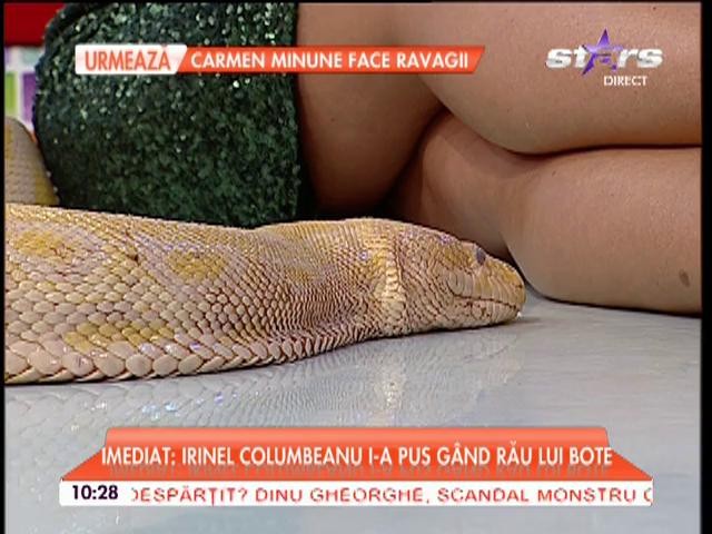 Raru de la "Star Matinal de Weekend", la un pas să fie muşcat de un şarpe, &icirc;n direct: "Vai, Doamne Maica Domnului!"