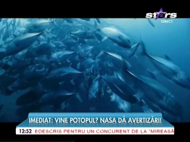 Vine potopul!