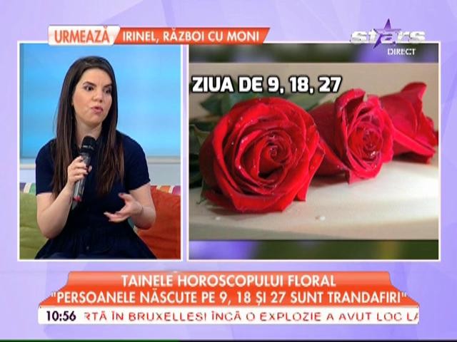 Tainele horoscopului horoscopului floral: "Persoanele născute pe 6, 15 şi 24 sunt maci!"