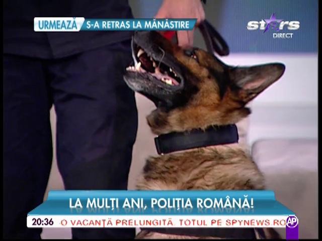 Mihai Morar a testat &icirc;n direct c&acirc;inele Poliţiei! Cum s-a descurcat patrupedul c&acirc;nd a fost pus să găsească portofelul doldora cu bani al vedetei